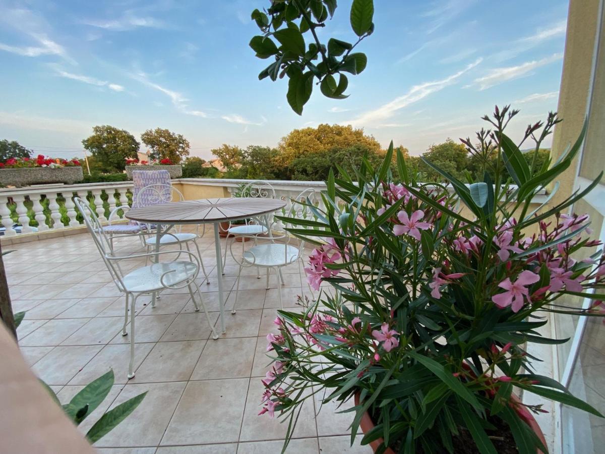 Villa Yucca Istra 라빈 외부 사진