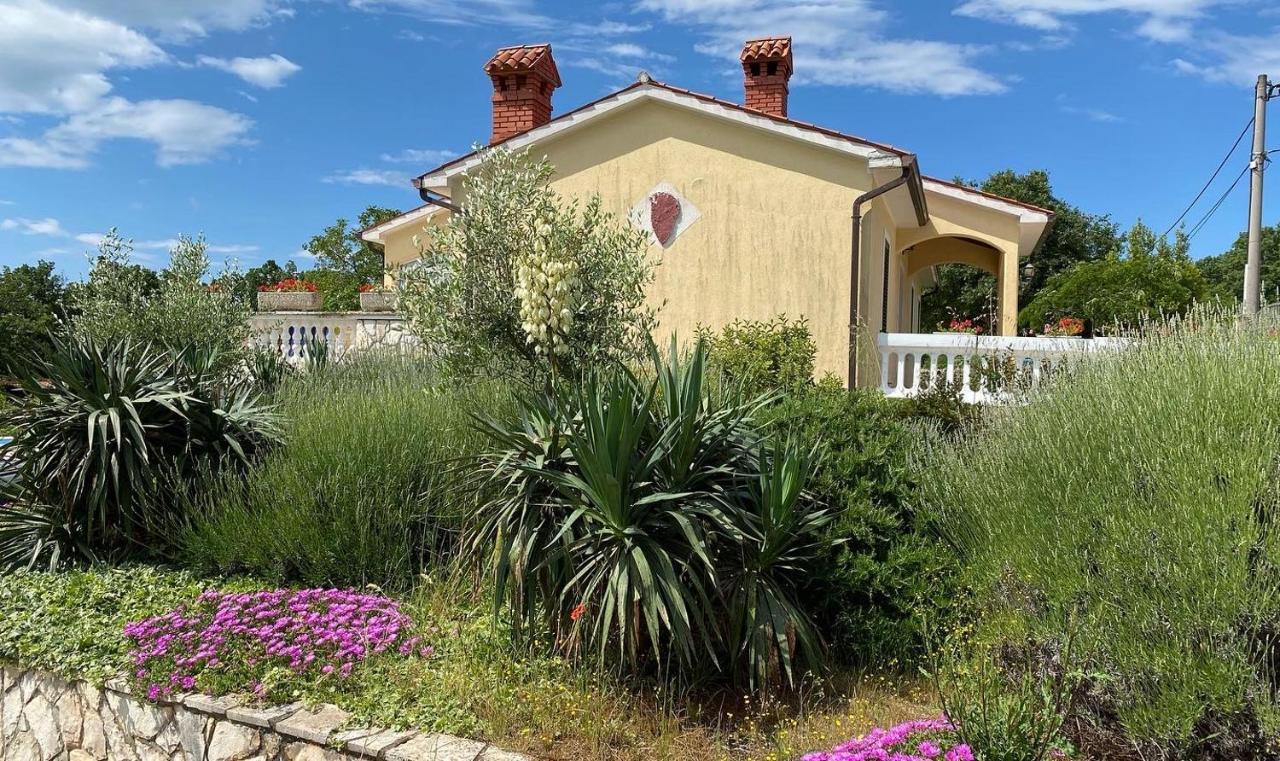 Villa Yucca Istra 라빈 외부 사진