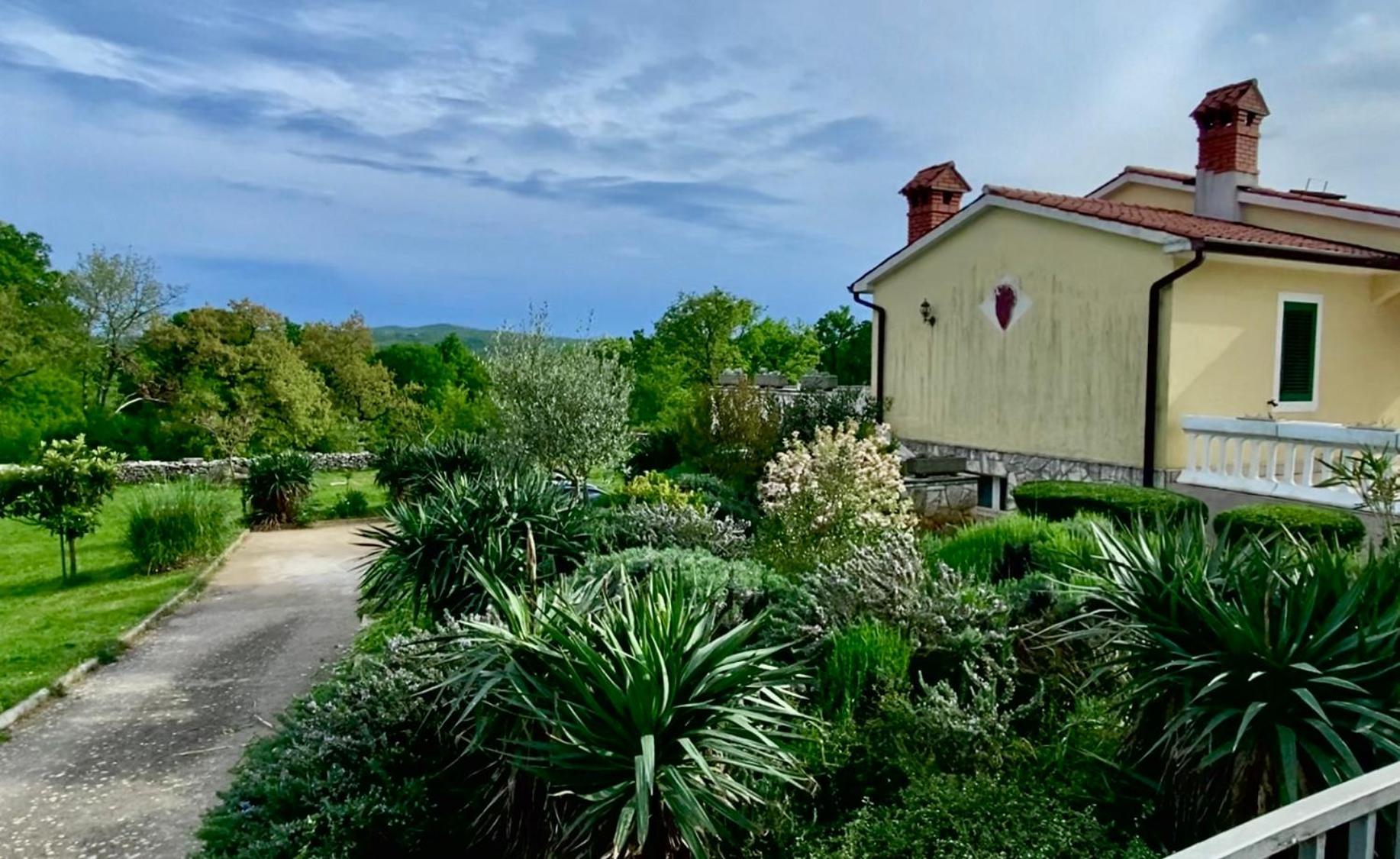 Villa Yucca Istra 라빈 외부 사진